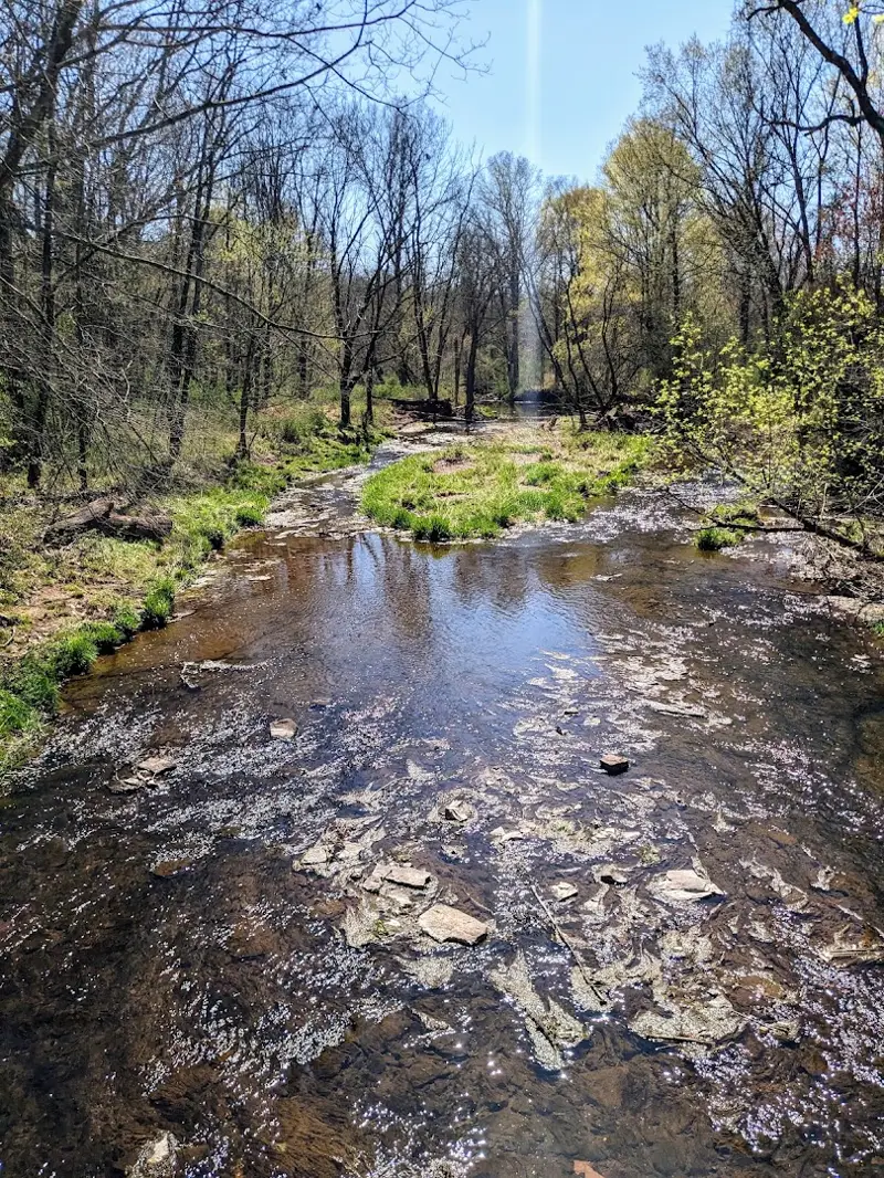 Montgomery Arboretum of Native Flora