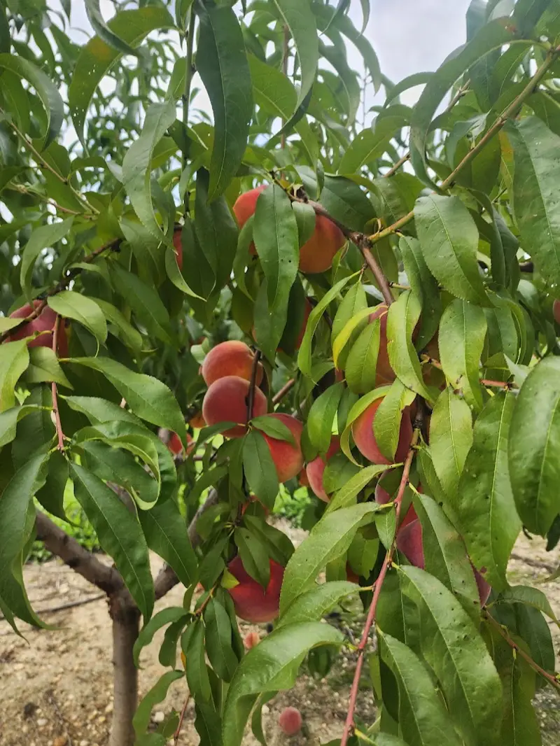 Hickory Corner Farm NJ