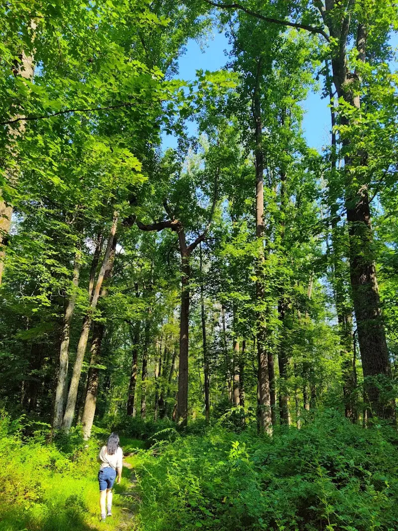 Eames Preserve
