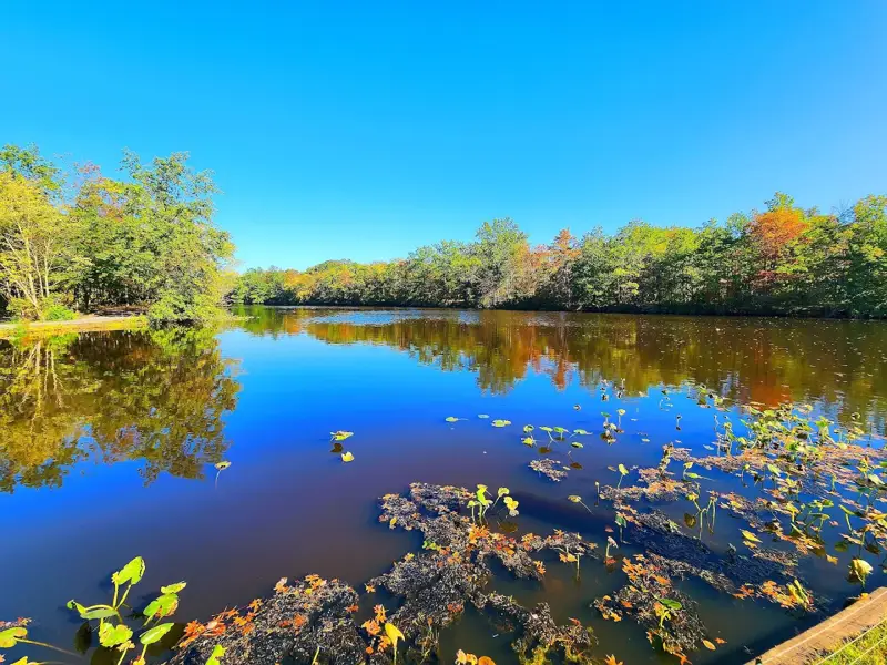 Mill Pond Park