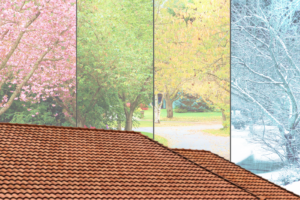 A closeup of a roof with the four seasons behind it.