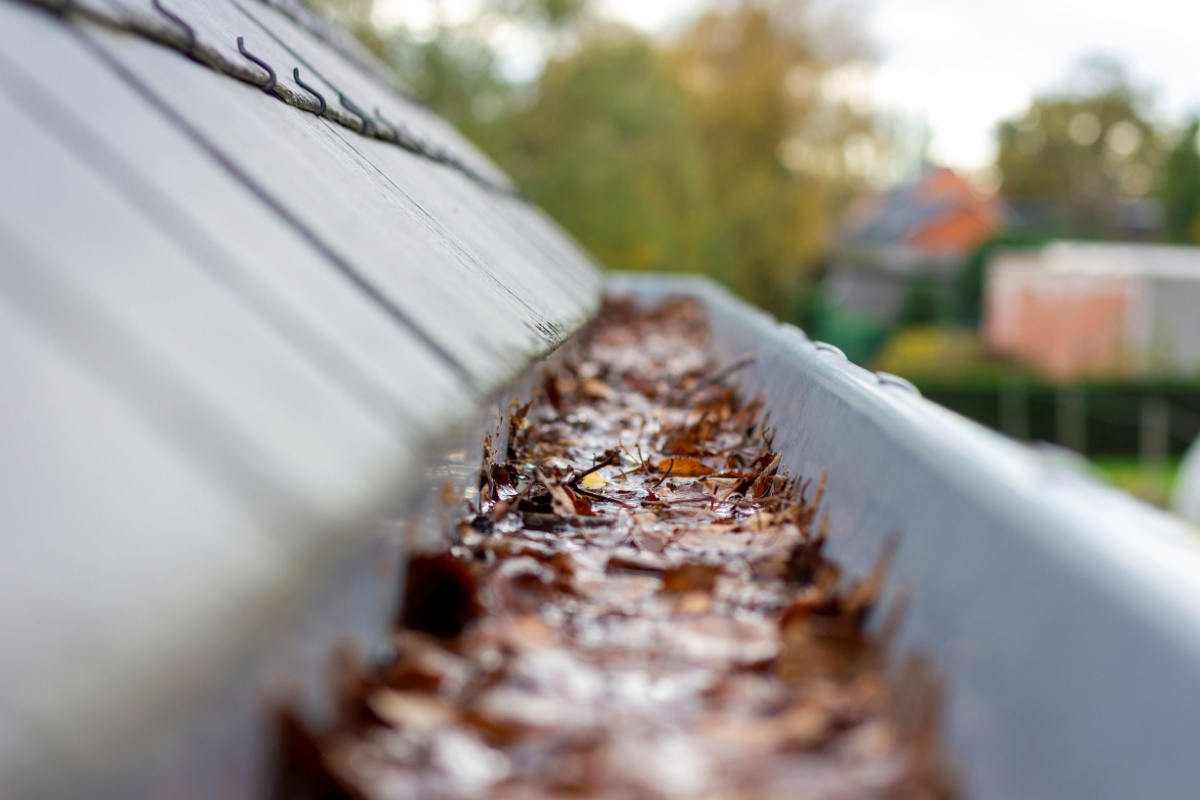 A clogged gutter with leaves and dirt